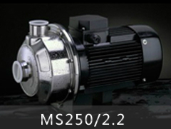 MS250/2.2不銹鋼單級(jí)離心泵